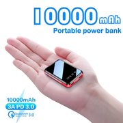 Portable Fast Charging PowerBank